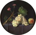 grapes apples and carnations